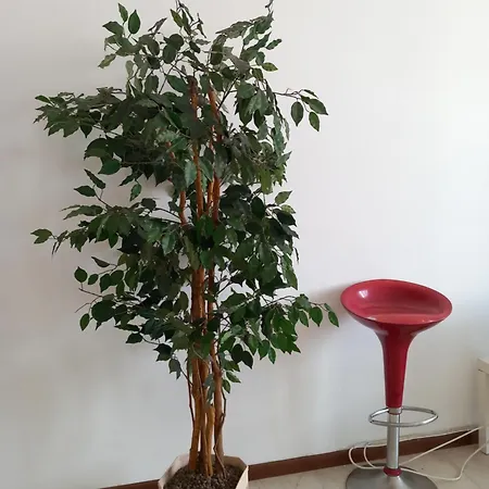 Martesana 4 * Milan